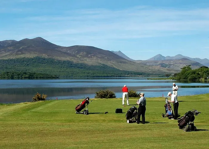 Tatler Jack Cill Airne