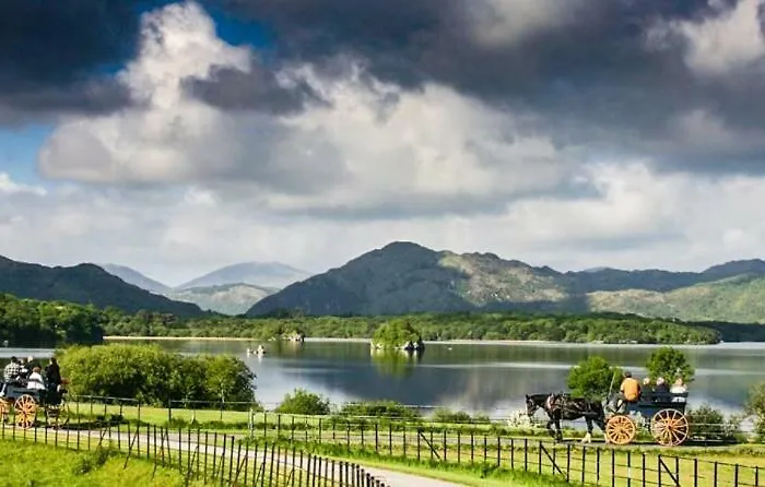 Tatler Jack 3* Cill Airne