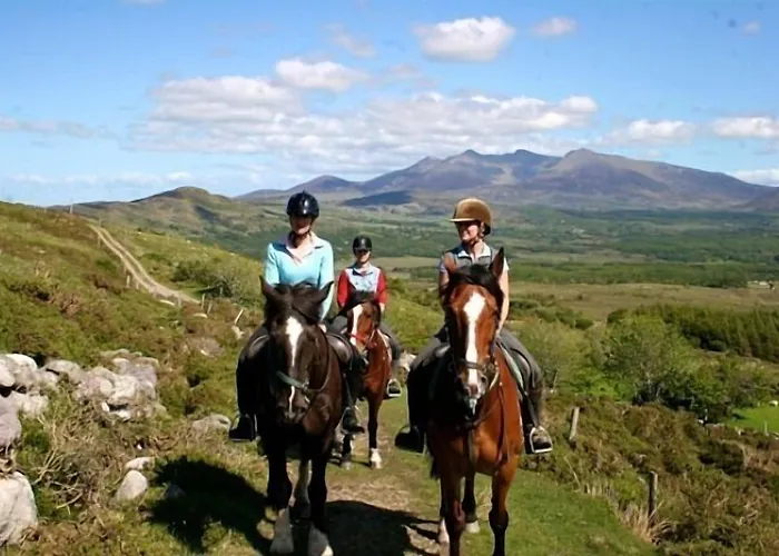 住宿加早餐酒店 Tatler Jack 3*